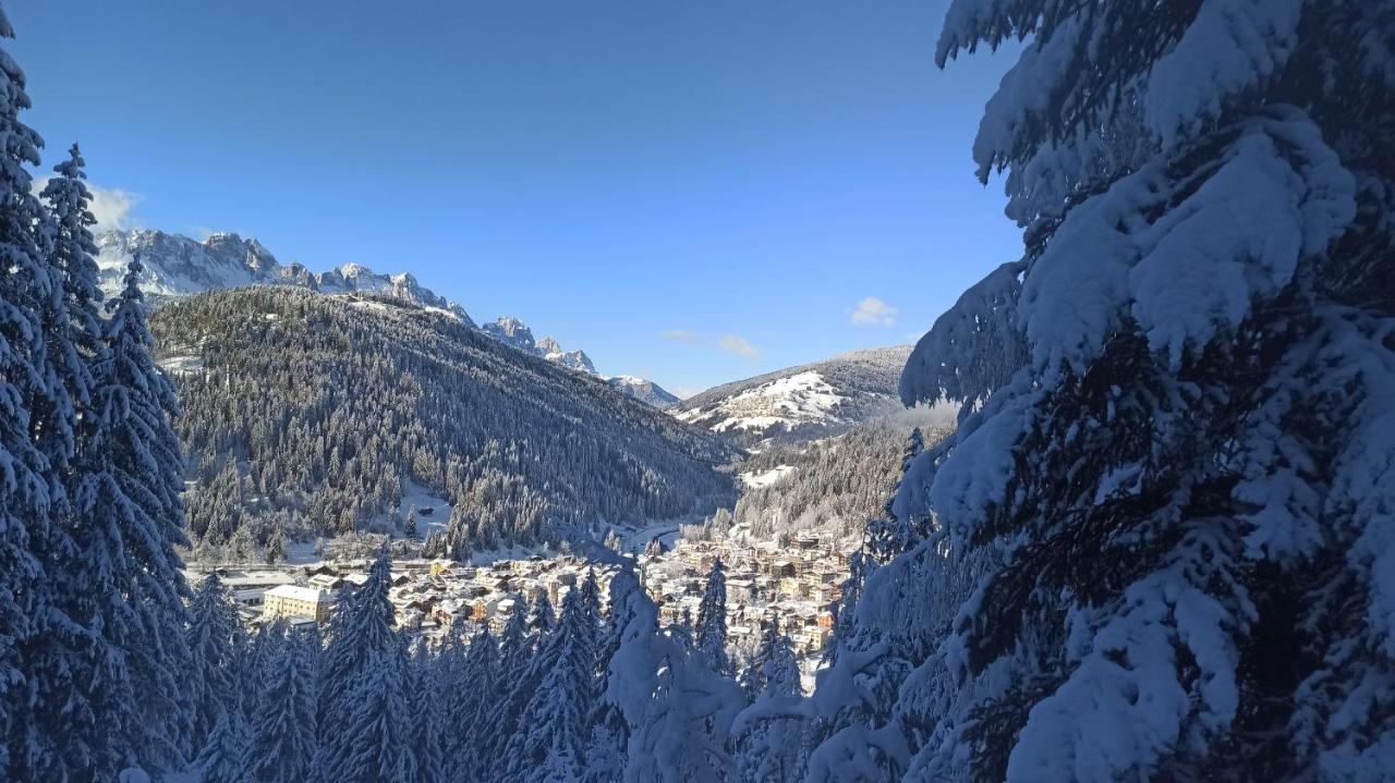 Monaco Sport Hotel Santo Stefano Di Cadore Eksteriør billede