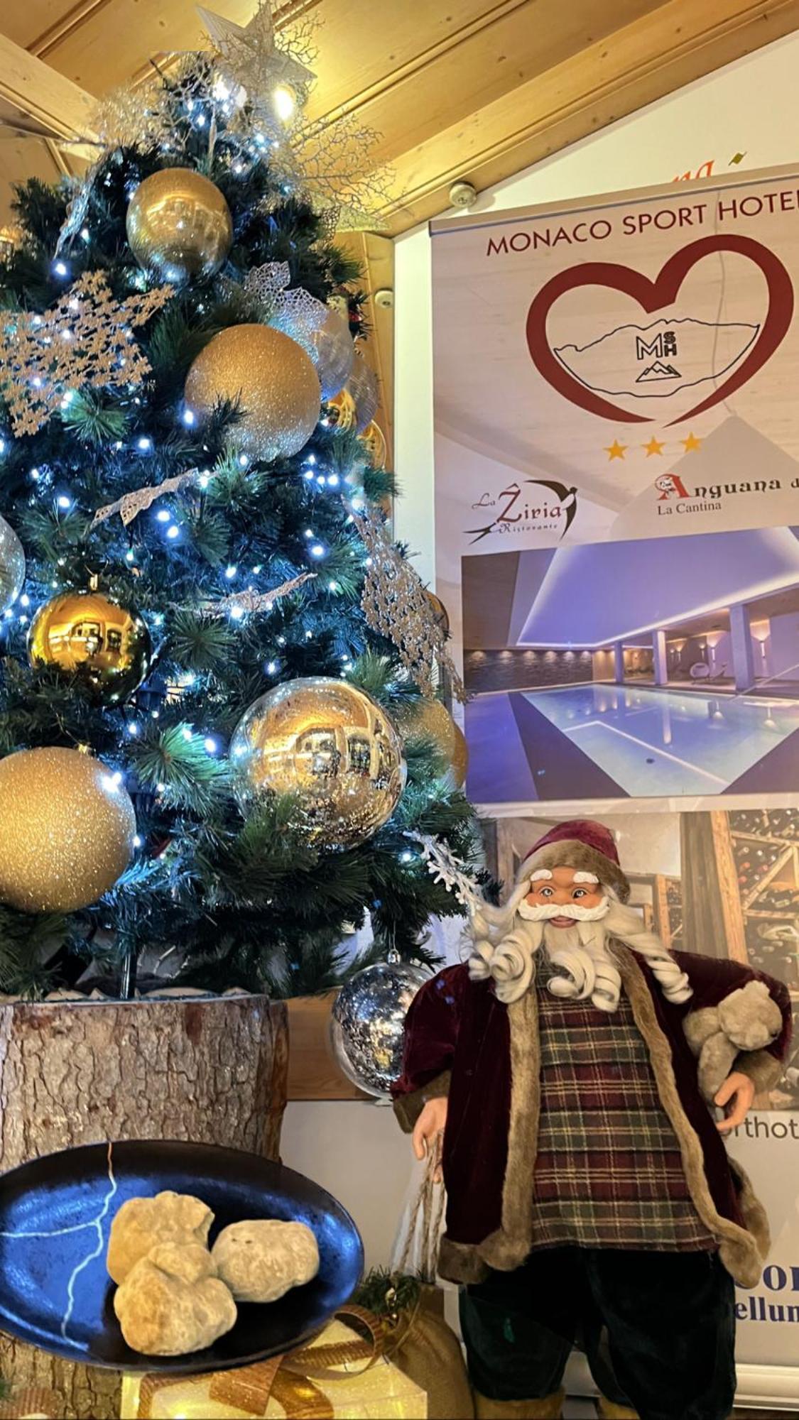 Monaco Sport Hotel Santo Stefano Di Cadore Eksteriør billede