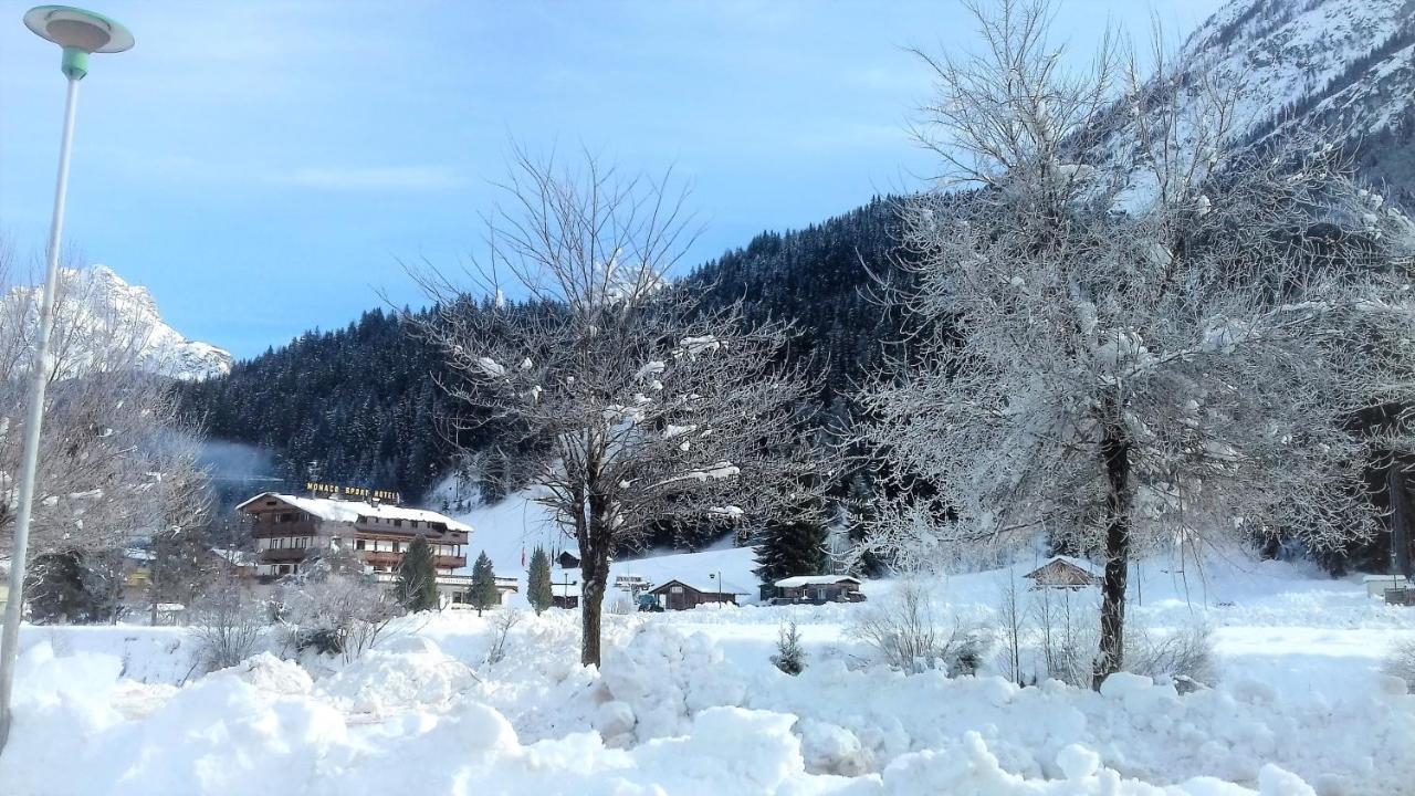 Monaco Sport Hotel Santo Stefano Di Cadore Eksteriør billede